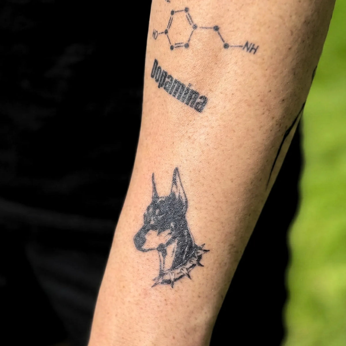Doberman semi-permanent tattoo by SafeTatt