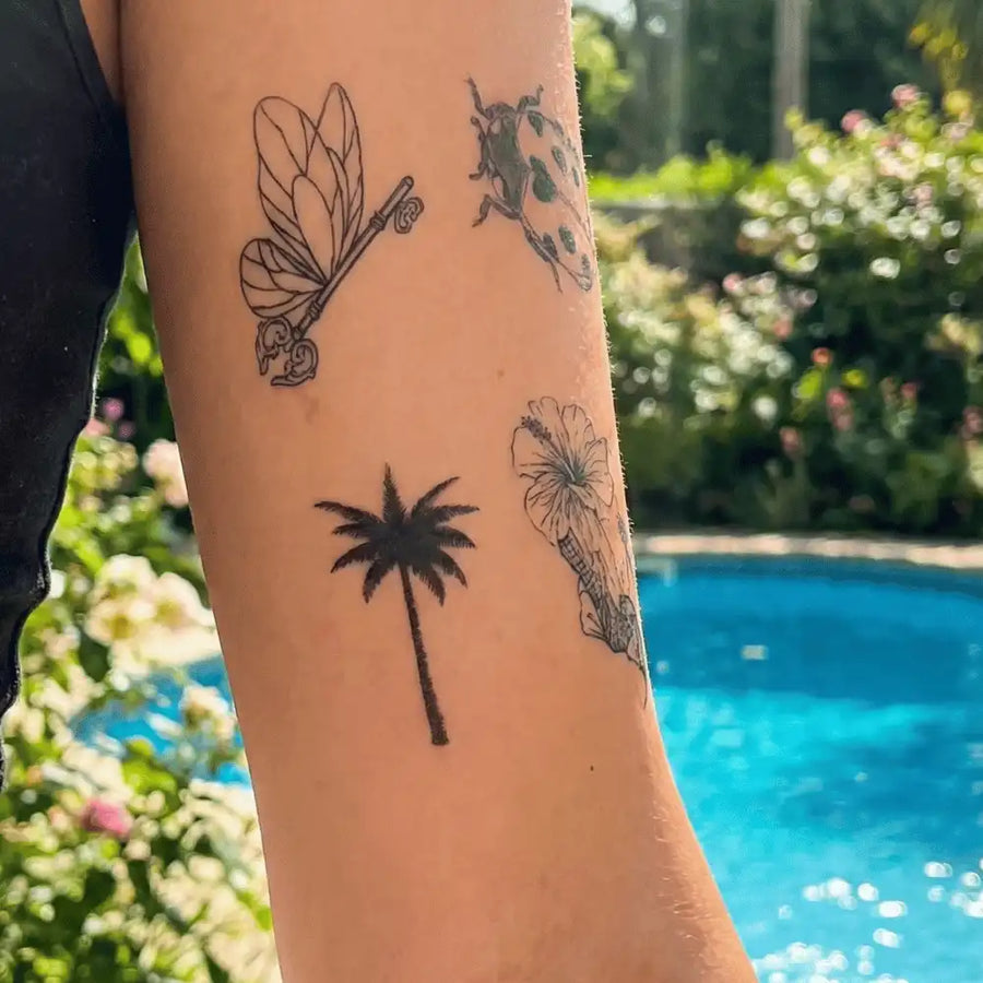 Palm
